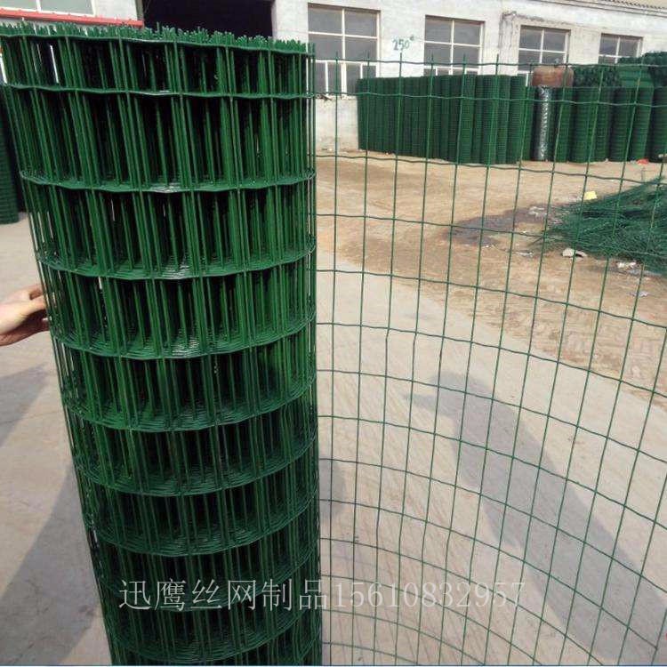 铁丝围栏网   圈山养殖网   涂塑焊接网  迅鹰绿色卷网
