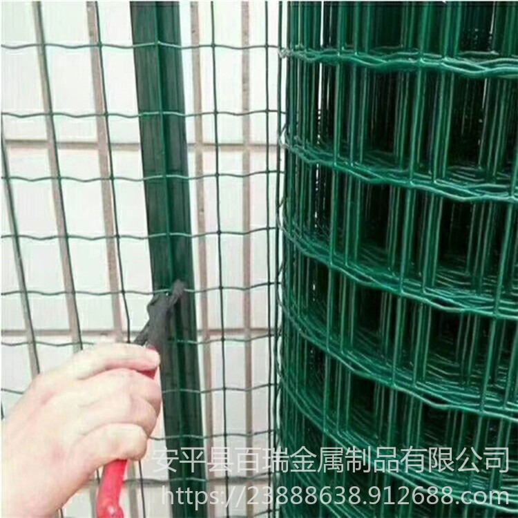 家禽养殖围栏网 绿色铁丝网价格 绿色成卷护栏网 荷兰网现货供应图片
