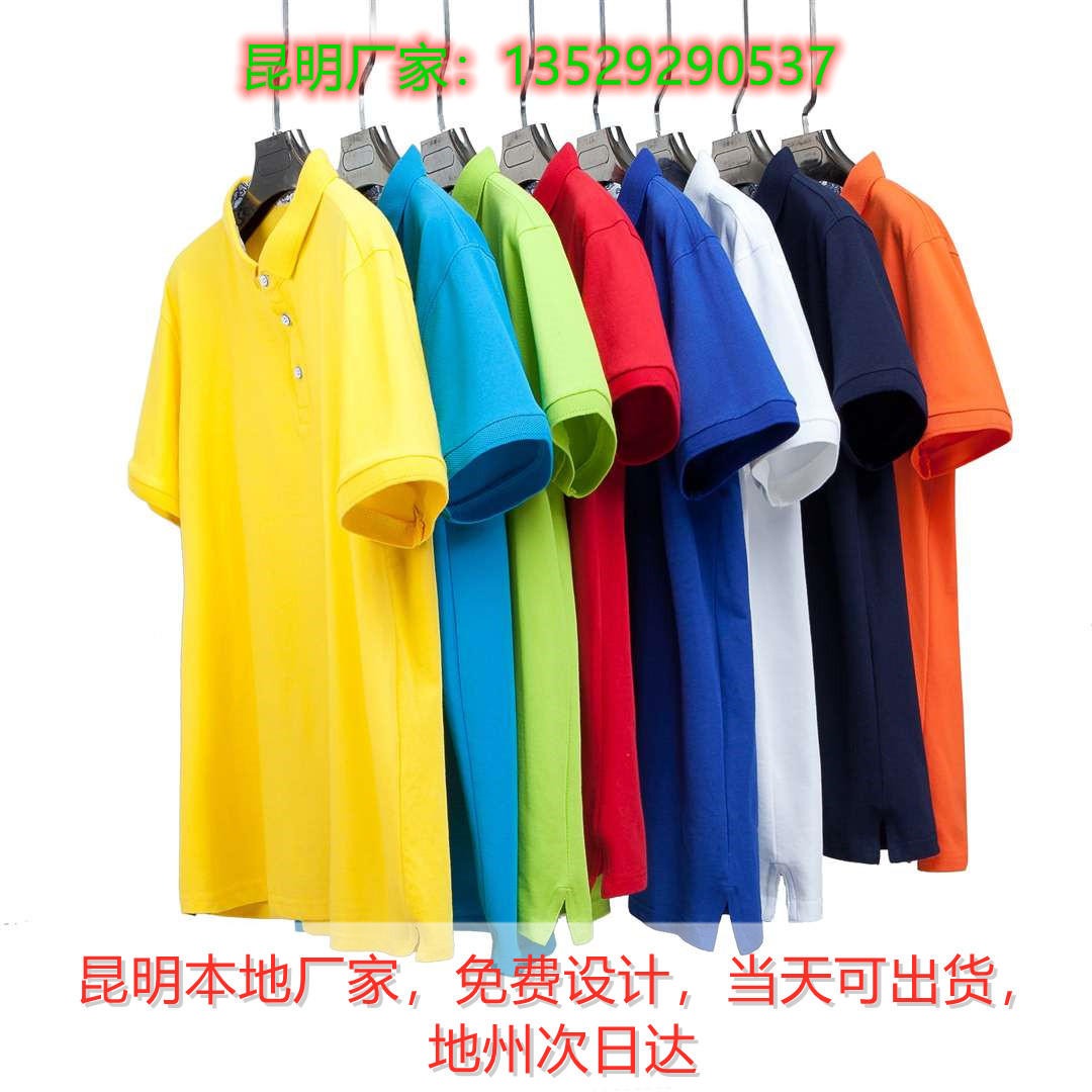 云南POLO定制t恤印字 文化衫定制 员工亲子装定做同学聚会衣服订做