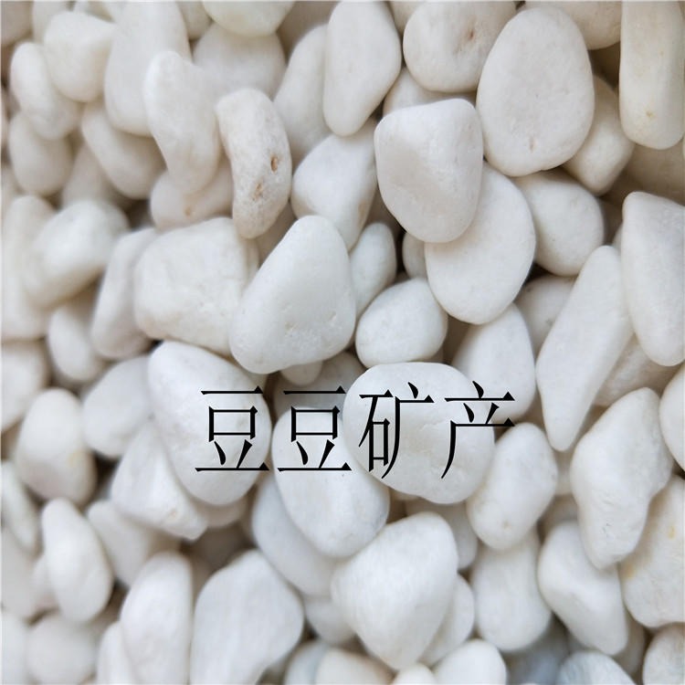 豆豆矿产批发白色鹅卵石 铺路用白色石子 园林景观装饰用的白色鹅卵石 3-5公分机制鹅卵石