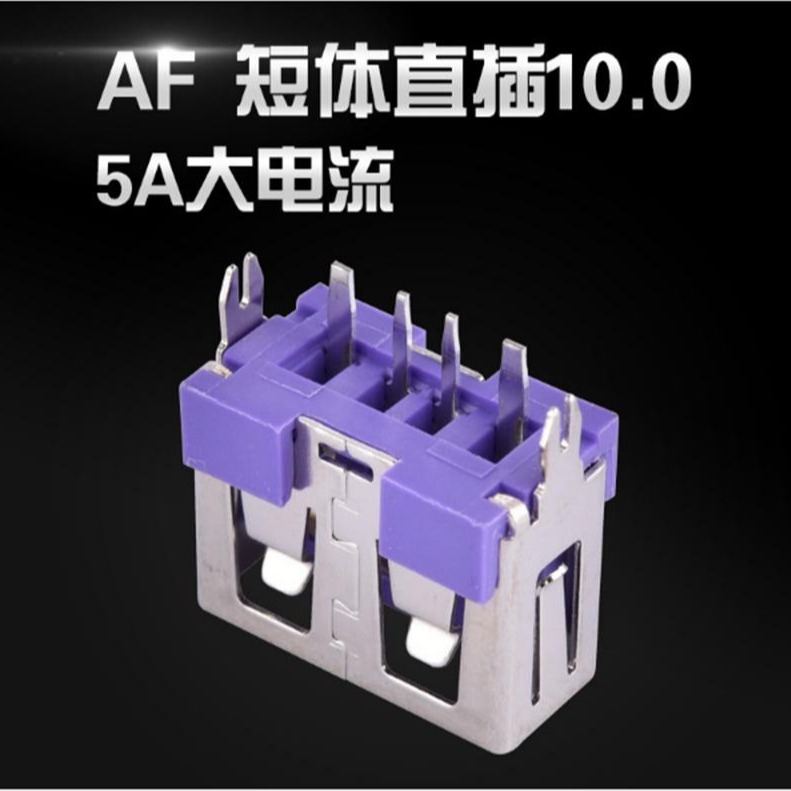 短体10.0 二脚直插型USB4.0母座 5A大电流 紫色胶芯 快充