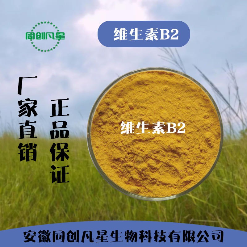 安徽同创凡星 维生素b2生产商 食品级维生素b2 生产厂家 营养强化剂 核黄素