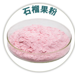 青梅粉 工厂直销青梅提取物 批发现货青梅果粉原料示例图31