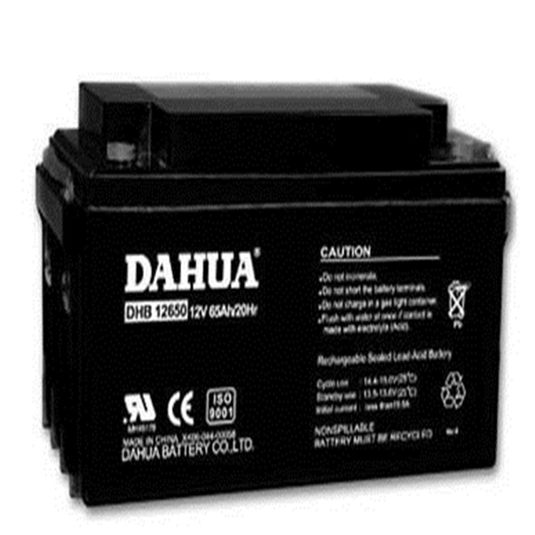 金山区DAHUA大华蓄电池DHB121200 货真价实 厂家直销 含税运 三年质保示例图1