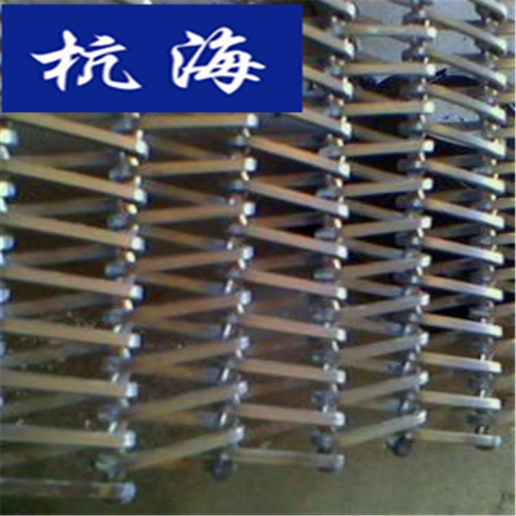 杭海 塑料网带 不锈钢螺旋网 网带机械厂家图片