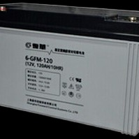 复华蓄电池6-GFM-200铅酸性免维护电池复华12V200AH