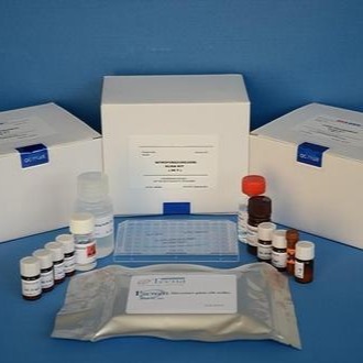 试剂盒 大鼠神经特异性烯醇化酶试剂盒 NSE试剂盒 ELISA试剂盒 慧嘉生物图片