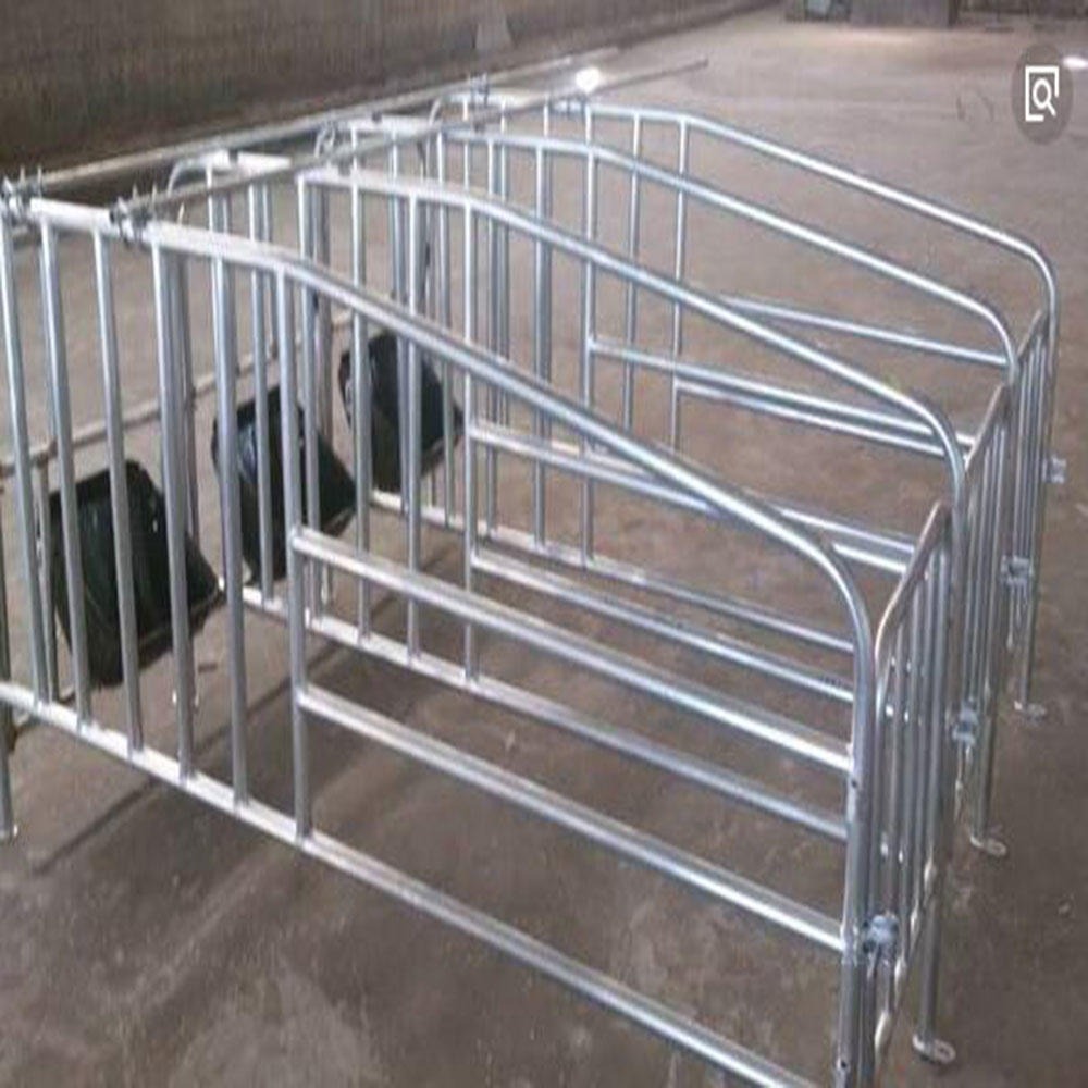 河北世昌畜牧厂家供应2.1*6母猪定位栏 一组十个位带食槽 养殖设备