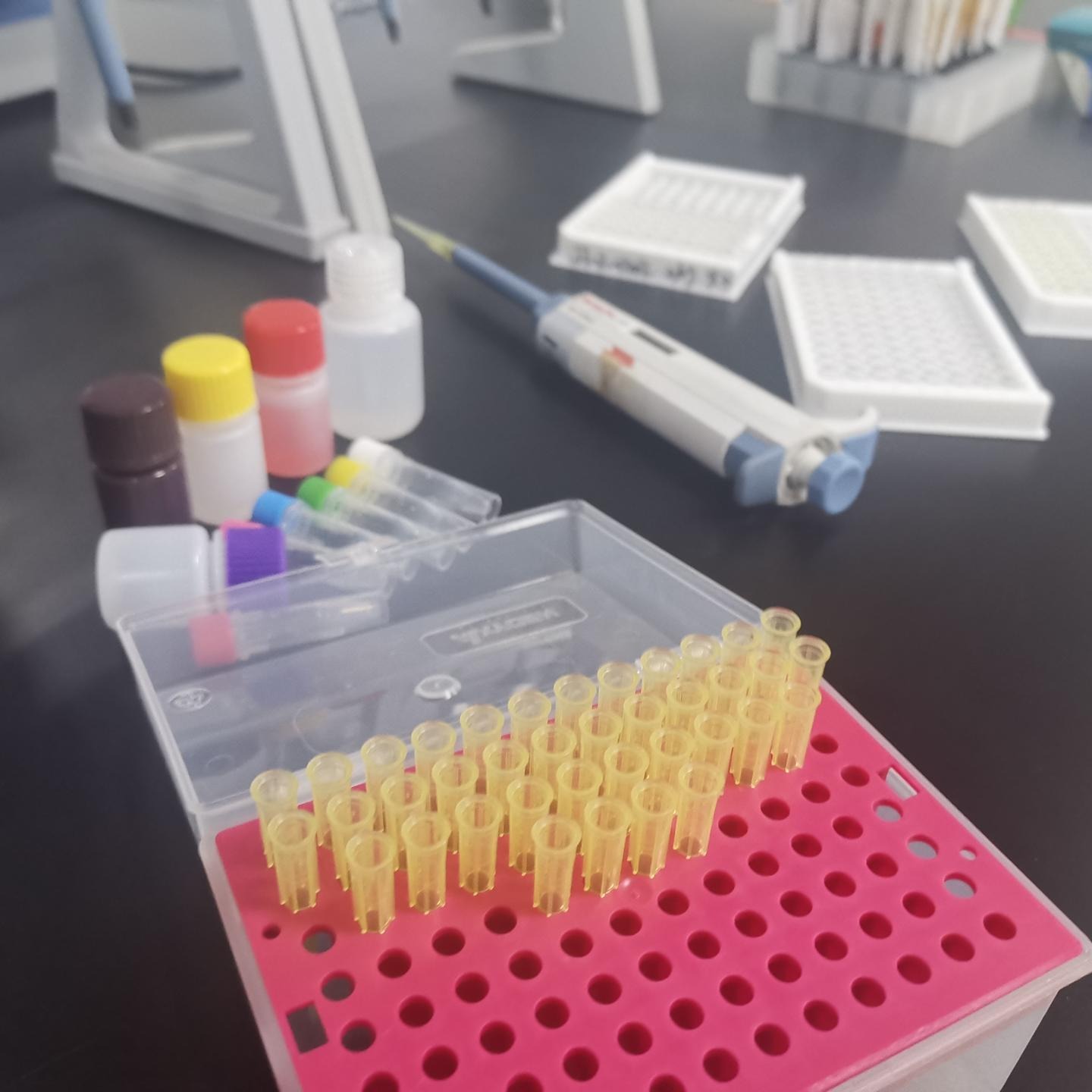 睿信生物 大鼠间接法测抗体通用试剂盒（ELISA）图片