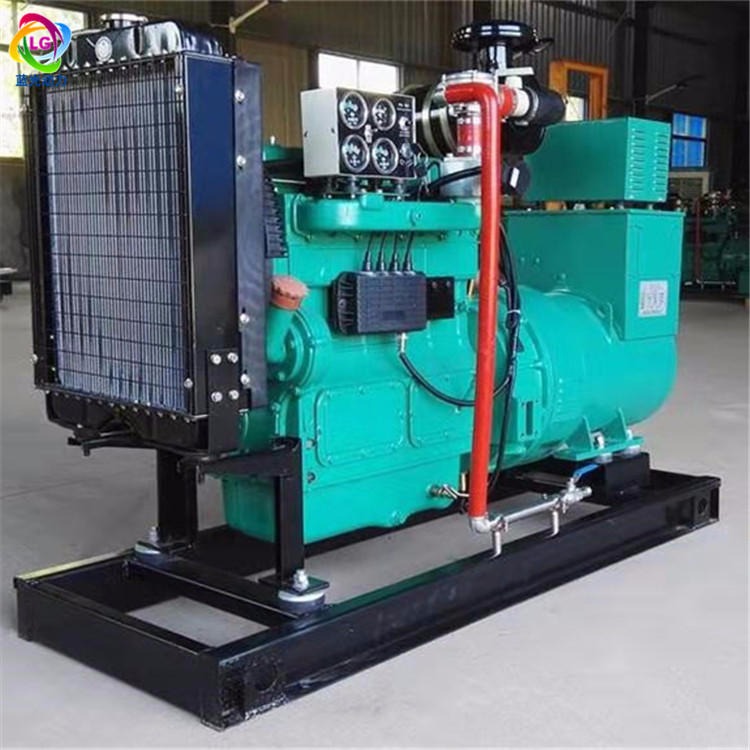 蓝光动力供应 沼气发电机组 潍坊发电机组 自启动全自动化30kw发电机价格