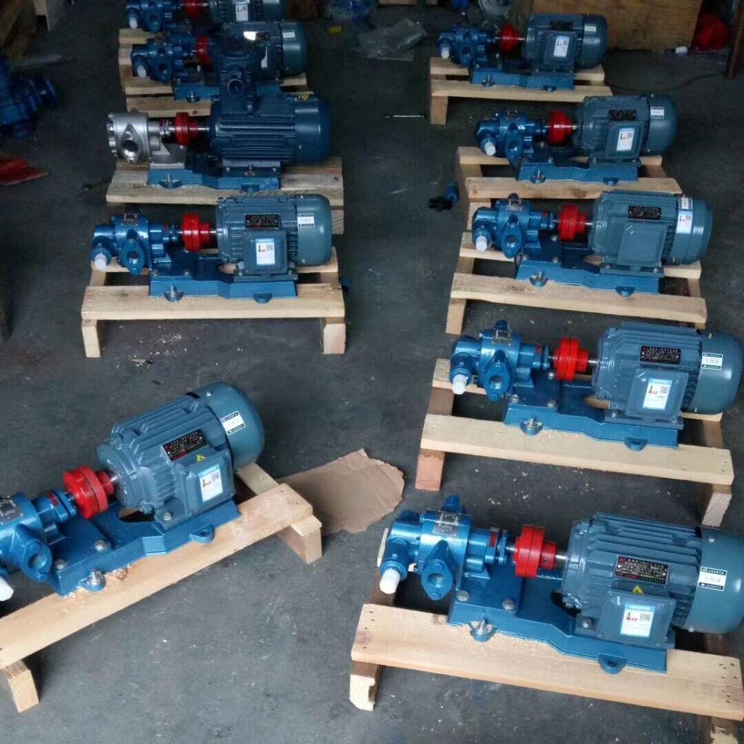 上海中球KCB-200不锈钢防爆齿轮输送泵 耐腐蚀防爆齿轮油泵生产批发
