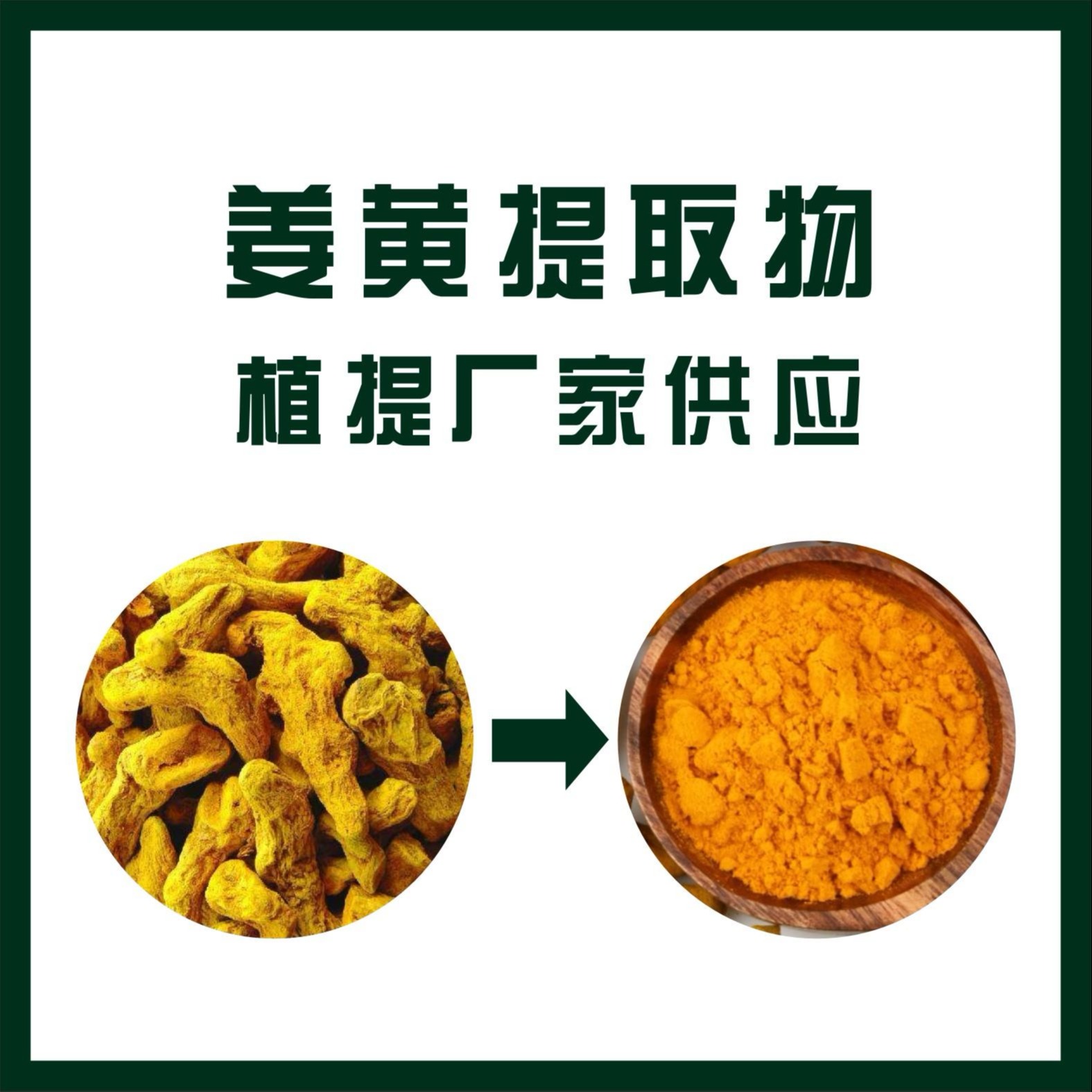 姜黄提取物   姜黄素 姜黄色素  姜黄浓缩粉 生产基地