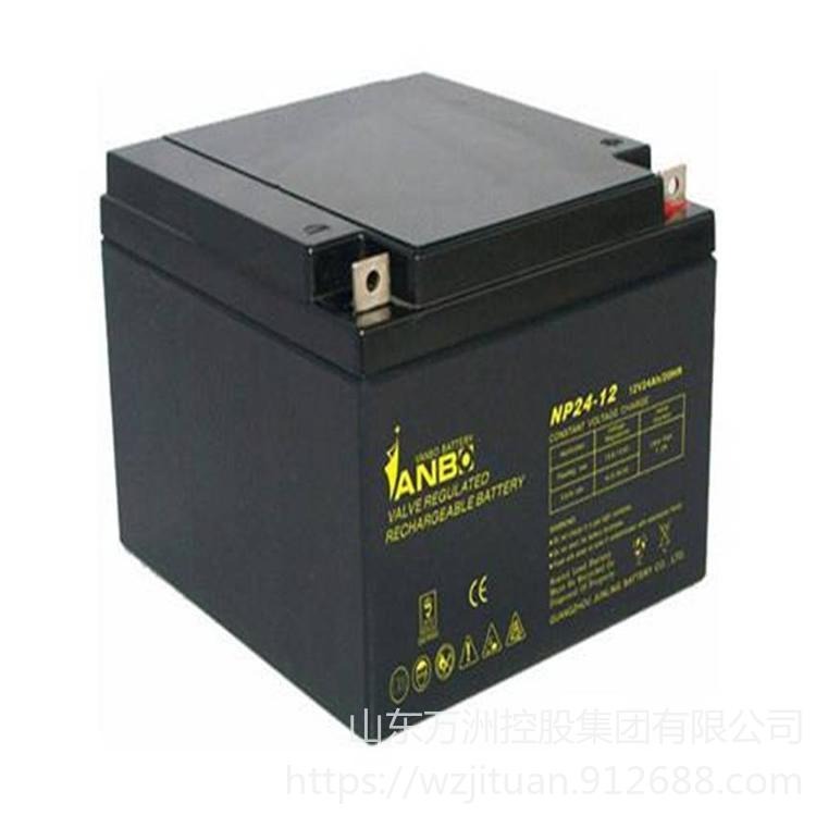 威博蓄电池NP24-12 阀控式免维护蓄电池12V24AH UPS/EPS机房电源专用 现货供应
