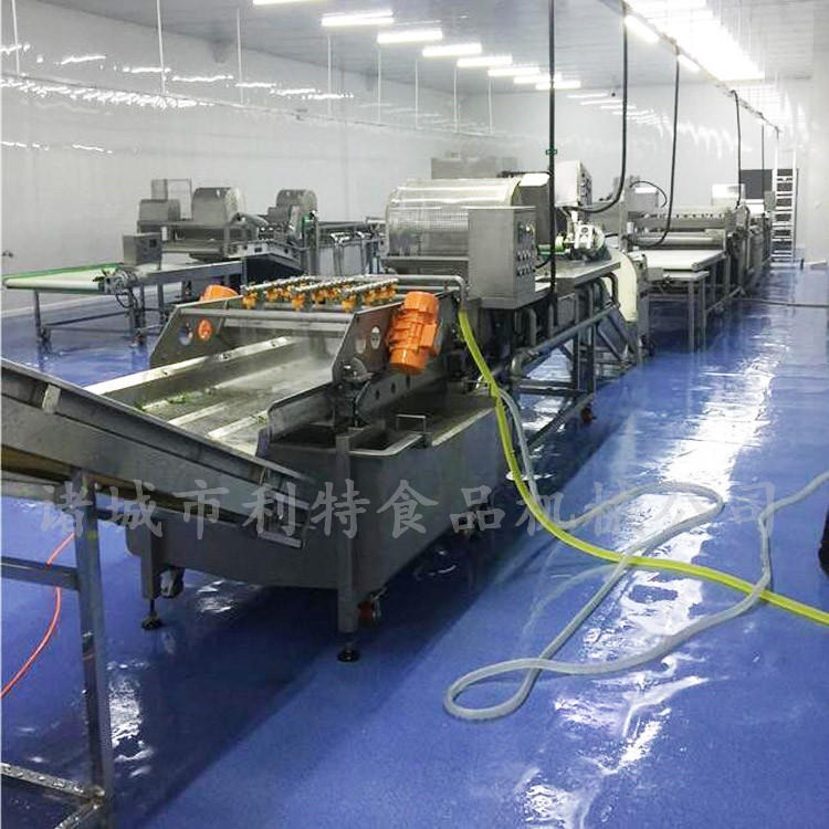 利特机械 蔬菜旋流清洗机  大型净菜加工生产线   中央厨房全套净菜加工设备 流水作业