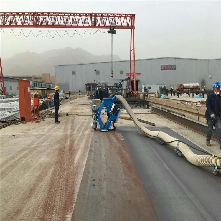 青海省海东厂家供应桥梁移动抛丸机 路面抛丸清理机 沥青面打毛机