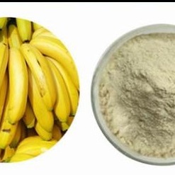 果蔬粉厂家直销 纯天然 香蕉粉