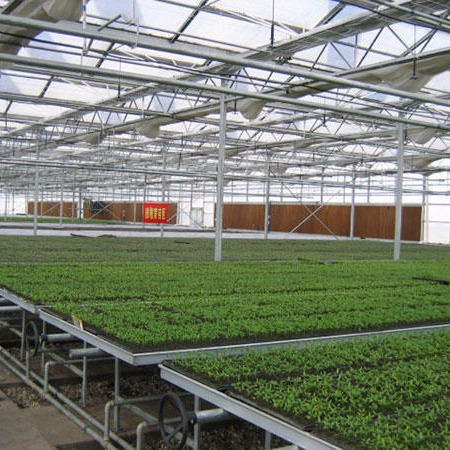 潍坊建达温室 花卉玻璃温室 加工育苗温室 批发生态玻璃温室