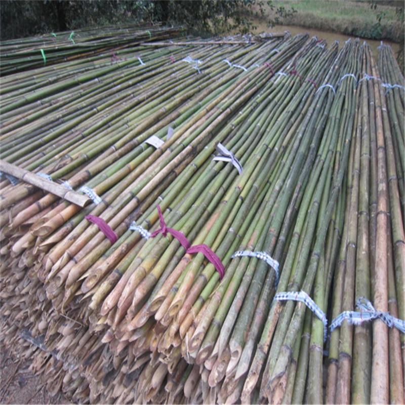 大量批发2米-5米小竹竿 果树支撑|蔬菜搭架|葛根枸杞支架竹竿
