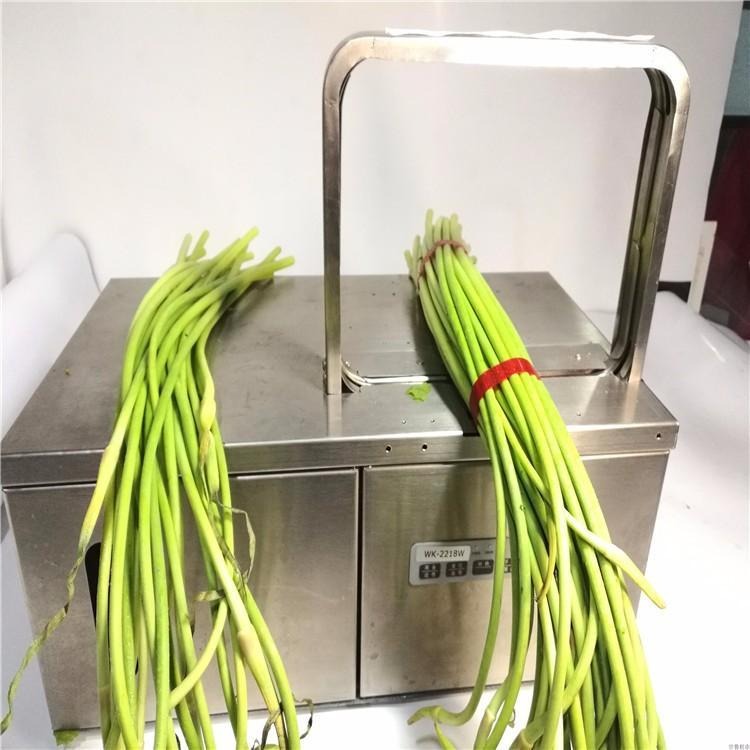 舜工 不锈钢小型打包机 出售定制 蔬菜捆扎机 多功能蒜黄豆角打捆机