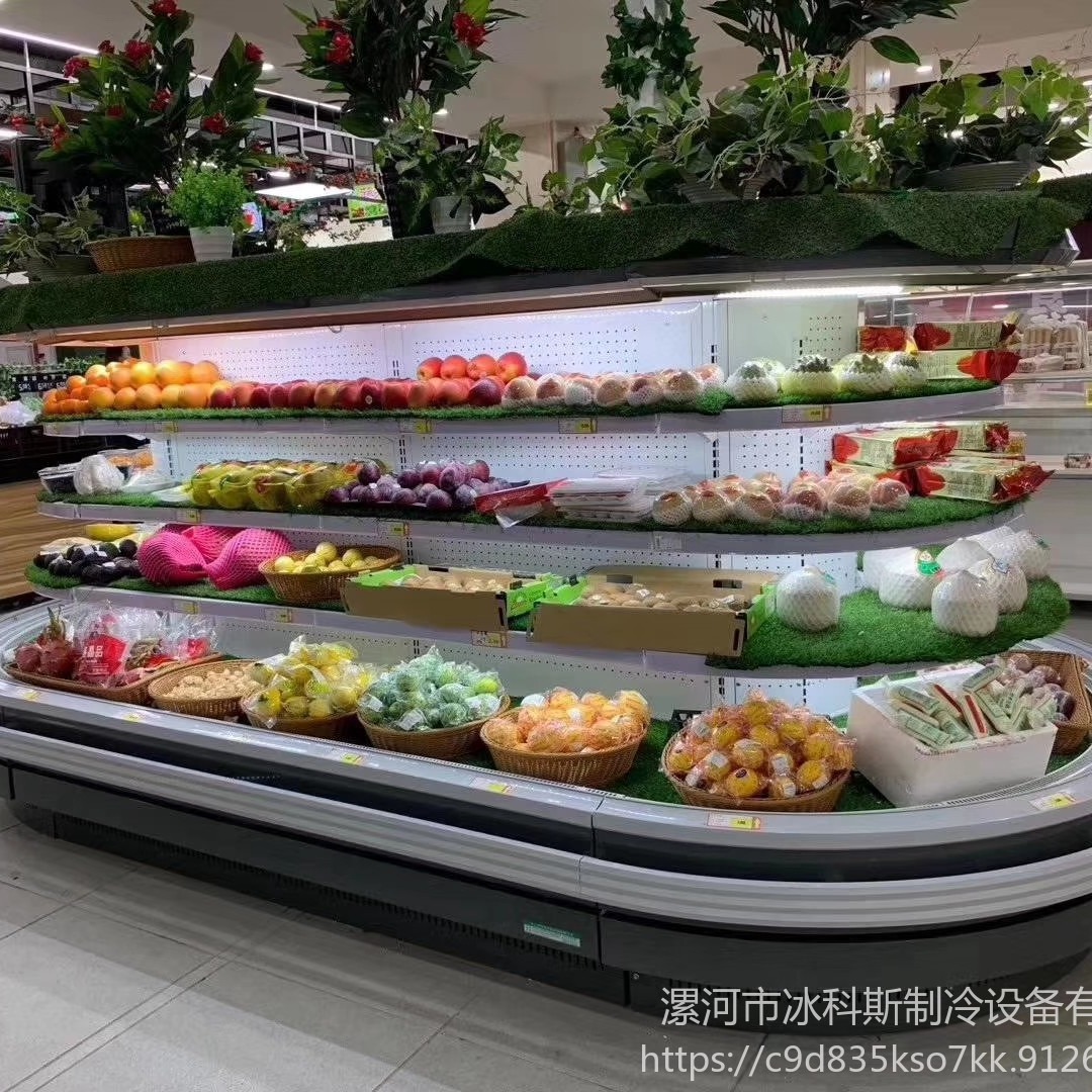 襄阳半高环形风幕柜 高端冷藏柜 蔬菜保鲜柜 工厂直销 支持定制 未来雪-WLX-HD-154