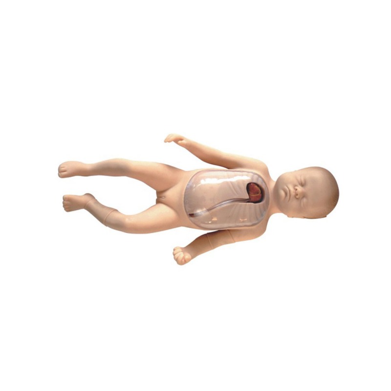 新生儿外周中心静脉插管实训考核装置  新生儿外周中心静脉插管实训设备  新生儿外周中心静脉插管综合实训台图片