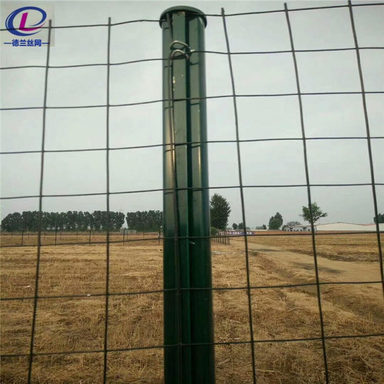 厂家批发钢丝网果园围栏 荷兰网果园围栏 德兰果园圈地护栏围网