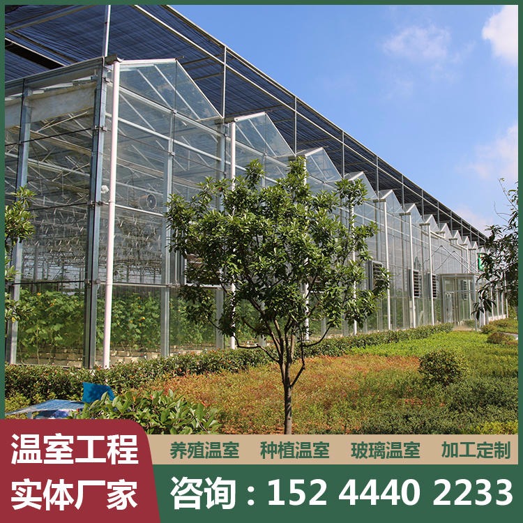 青州蔬菜大棚 薄膜拱棚温室建设