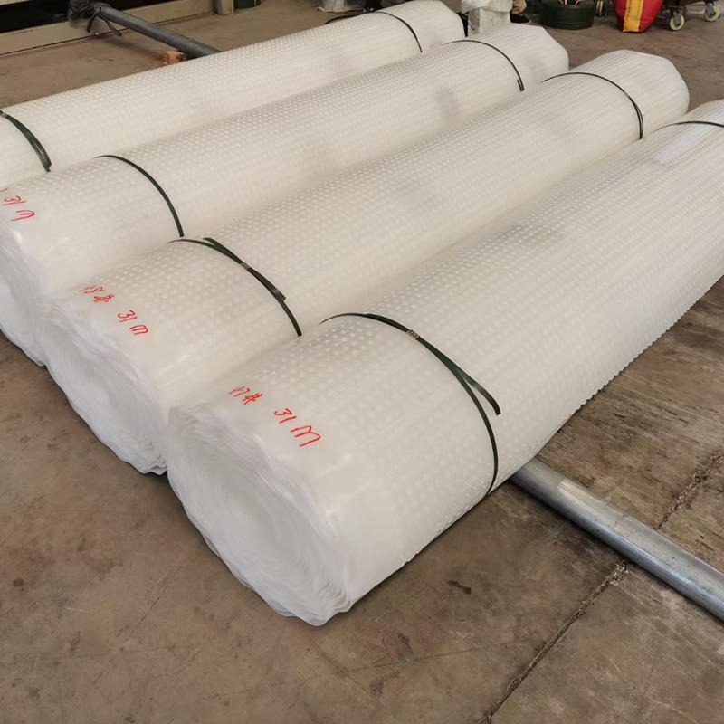 揭阳塑料排水板厂家 烟台蓄排水板 衢州HDPE复合排水板绿/祥定制加工