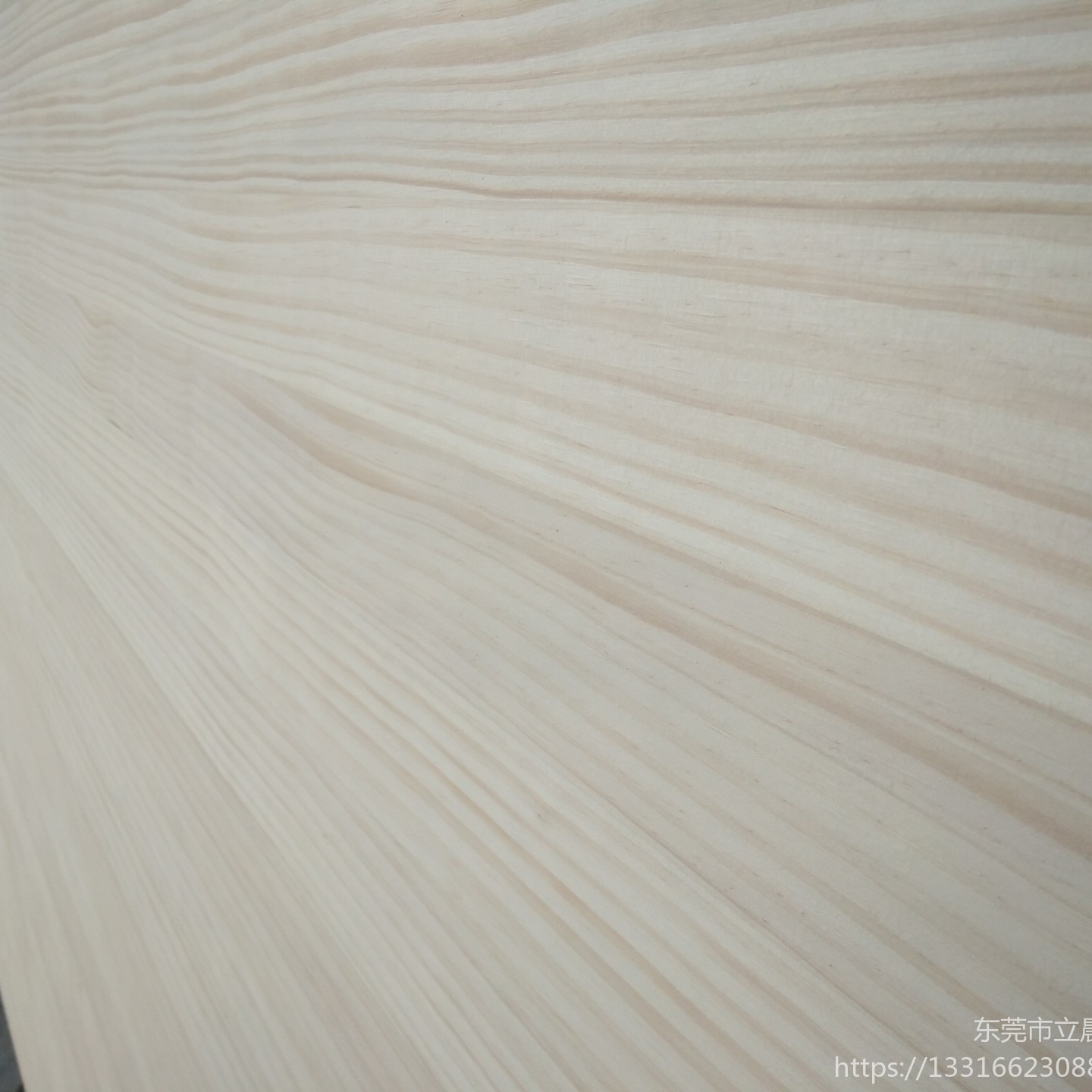 立晨板 松木直拼板 芬兰松直拼板 木板材厂家12mm 尺寸齐全图片