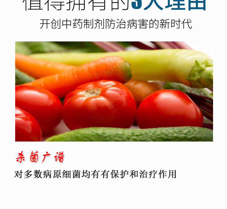 细截新型植物源制剂奥力克细截杀菌农产品蔬菜番茄软腐专用示例图2