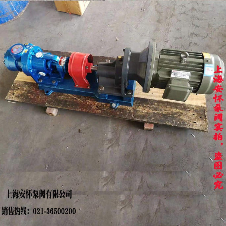 不锈钢高粘度泵  ANYP-30 高粘度抽料泵 上海安怀高压高粘度泵