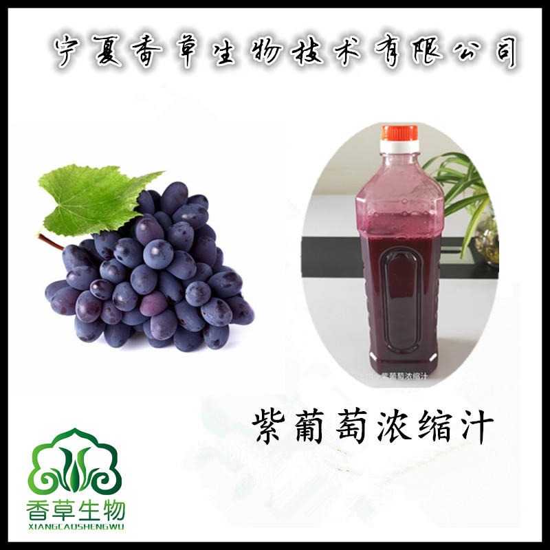 紫葡萄浓缩汁 黑葡萄鲜汁 原浆  紫葡萄提取物 浓缩粉图片