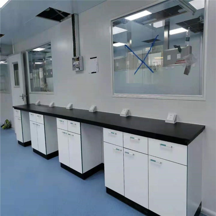 禄米  微生物实验室实验台  承接微生物实验台安装 LUMI965632图片