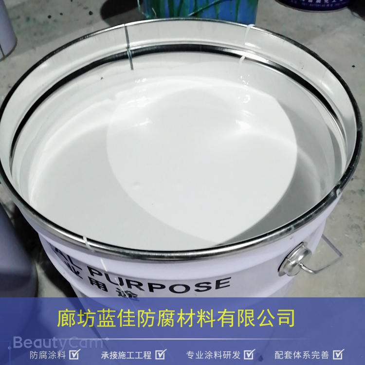 白色耐磨损型环氧陶瓷涂料 蓝佳 防腐涂料厂家