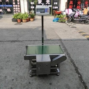 自动化必备的重量检测机 皮带检重秤 自动输送平台电子秤厂家定制