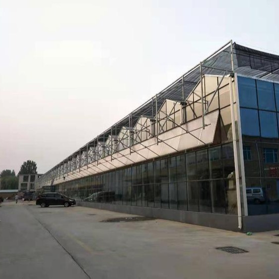 青州鑫泽厂家直销 玻璃温室  玻璃大棚  温室大棚 品质可靠