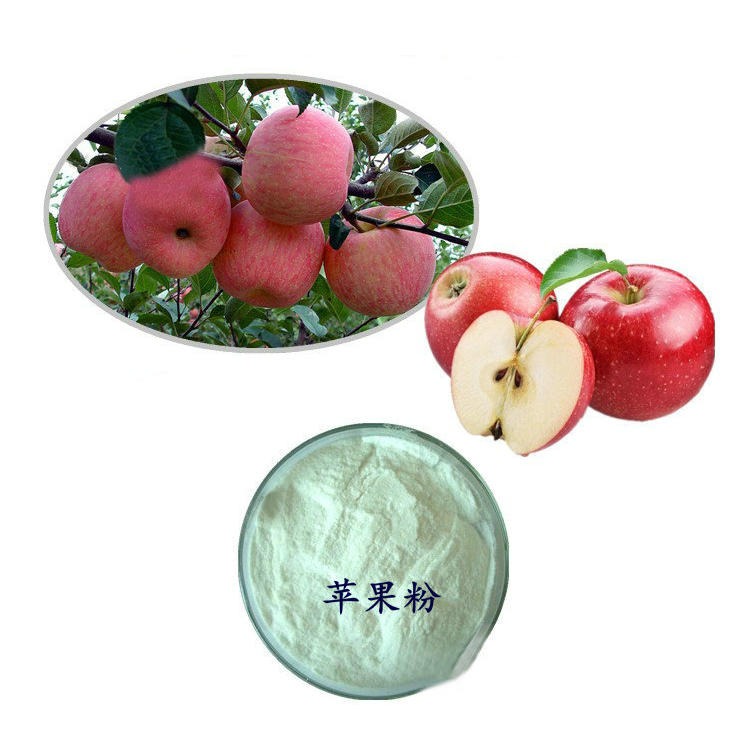 苹果粉 苹果果汁粉 浓缩苹果粉 SNT 食品饮料烘焙食品原料图片
