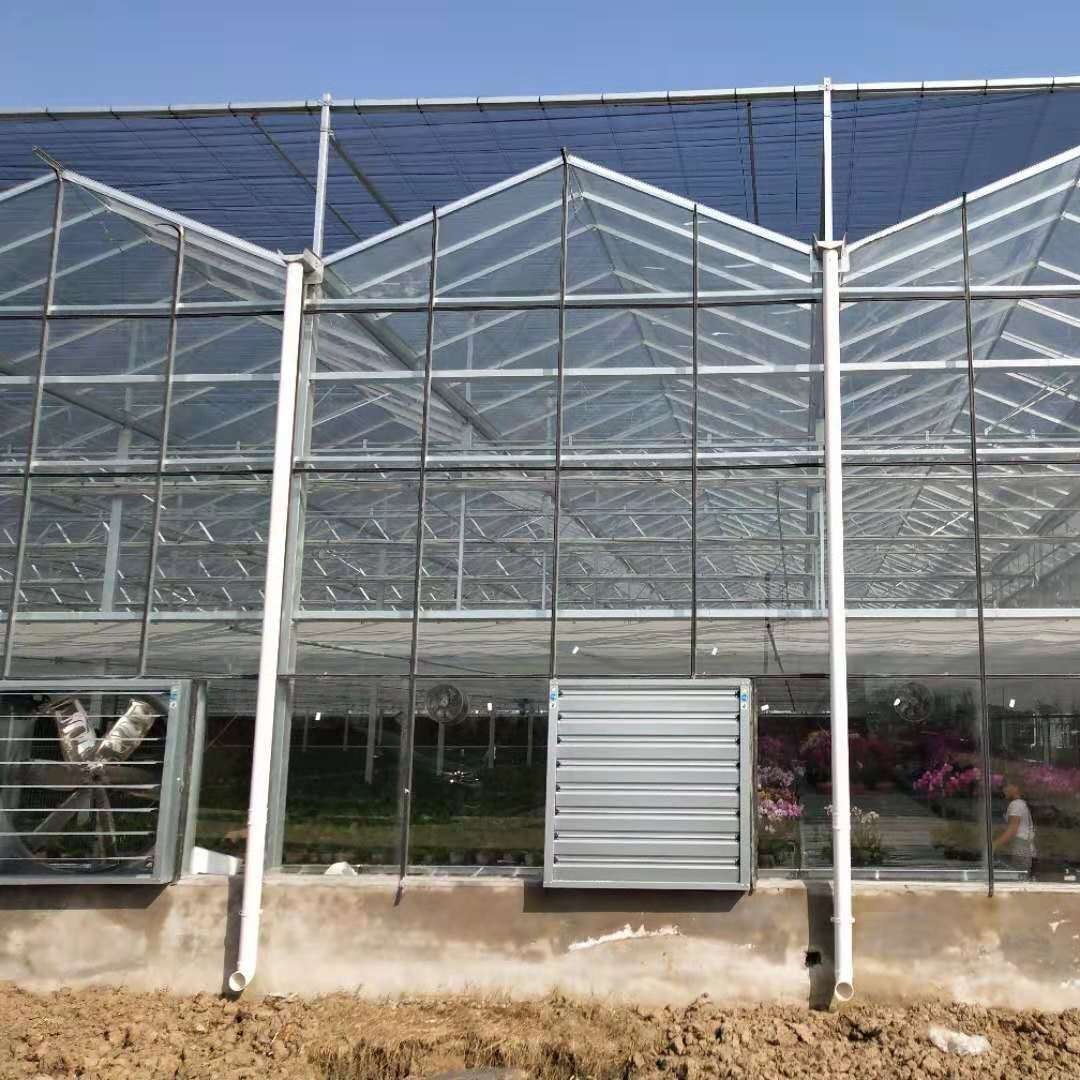 博伟 智能玻璃大棚建设 蔬菜玻璃大棚厂家 生态玻璃温室