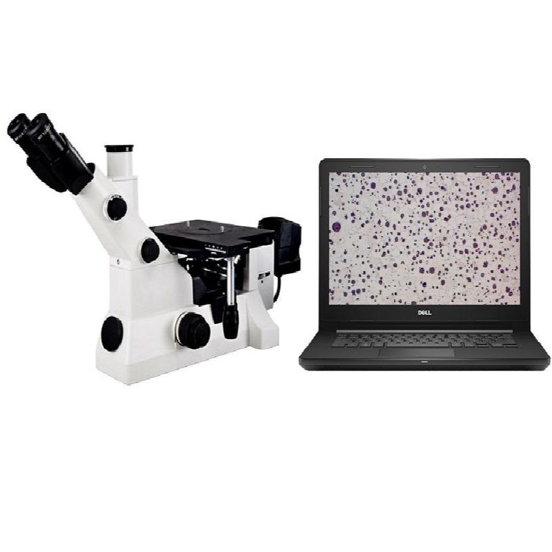 MR5000   三目倒置金相显微镜 球化率金相显微镜 金相显微镜图片