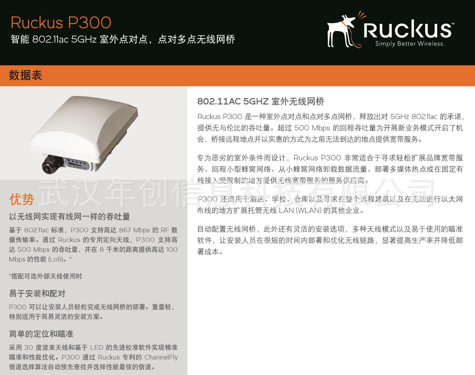 Ruckus美国优科901-P300-CN02 双频 zoneflexP300室外网桥AP正品示例图1