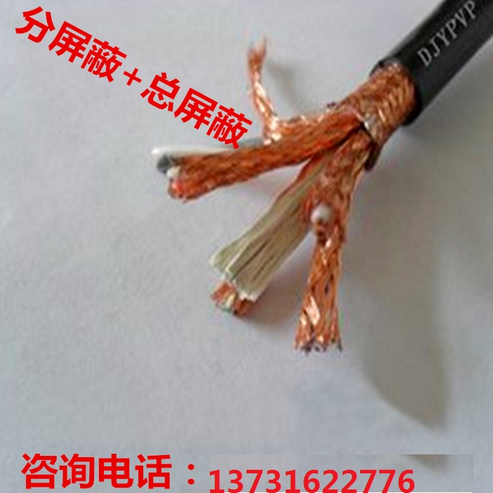 DJFVRP22耐高温铠装屏蔽计算机电缆生产厂家