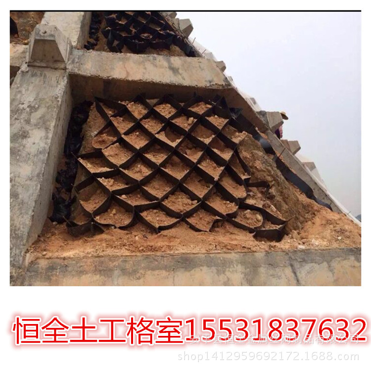 上海浦东蜂巢格室植草 生态绿化边坡材料土工格室 鱼塘护坡蜂巢格示例图10