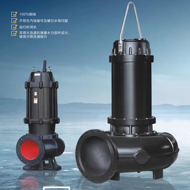 双河泵业厂家供应优质的搅匀式排污泵  200WQ300-25-37   潜水污水泵  污水泵直销