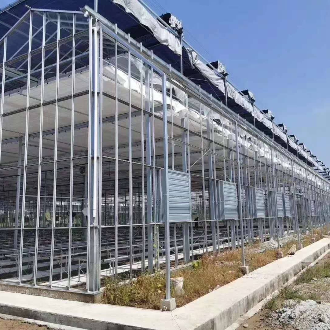 博伟 生态玻璃温室 智能玻璃大棚 蔬菜玻璃大棚价格