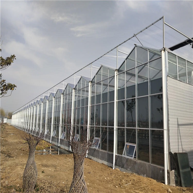 博伟智能温室 玻璃温室工程 温室大棚搭建 玻璃温室设计