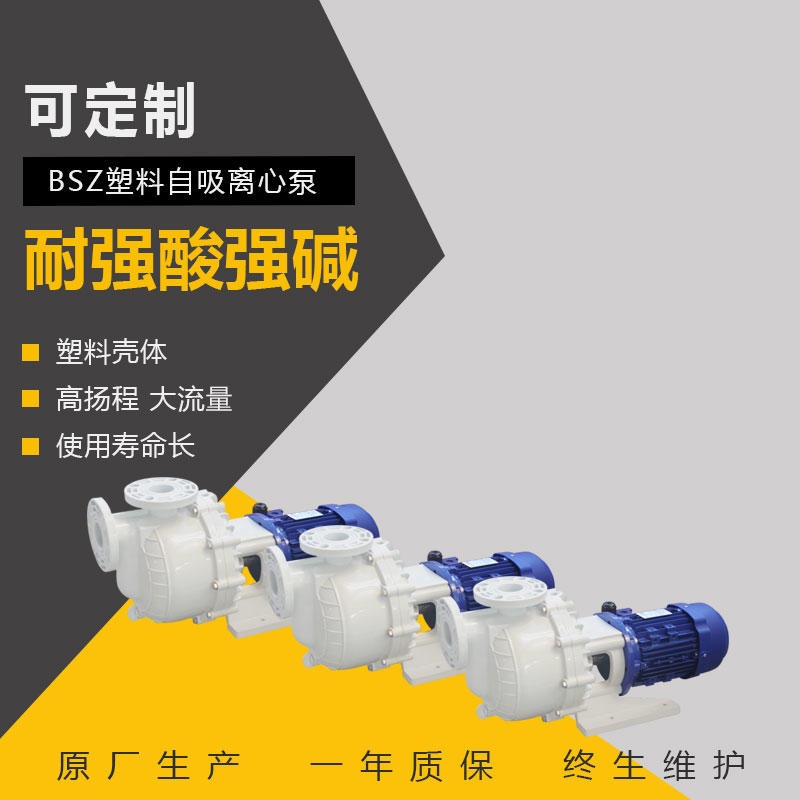 BSZ自吸离心泵 PP/PVDF材质 塑料排污耐酸碱自吸泵 卧式化工泵