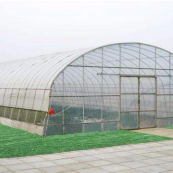 潍坊建达温室 单体薄膜温室 单体大棚 简易单体大棚 简易蔬菜温室 简易薄膜温室图片