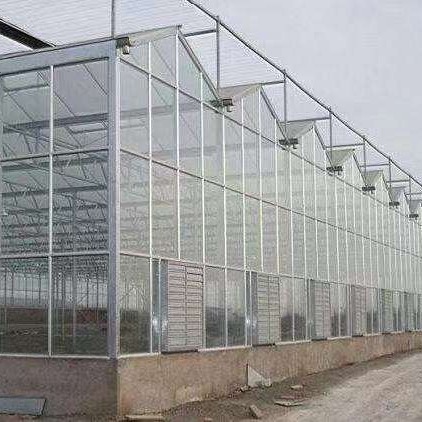 青州鑫泽厂家直销 智能玻璃温室 荷兰大棚 玻璃温室图片