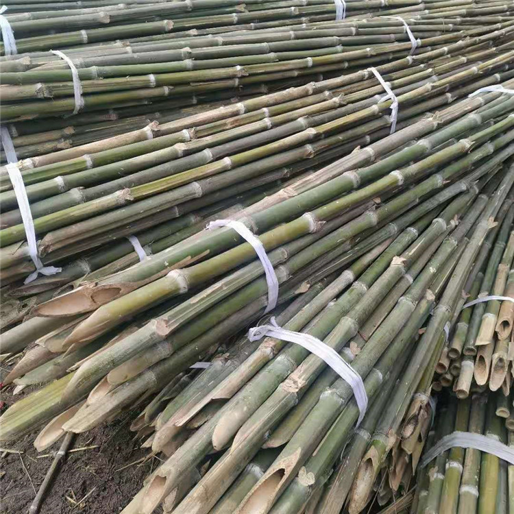 2.2米-2.5米竹秆桃子树支撑用竹棍 可定制