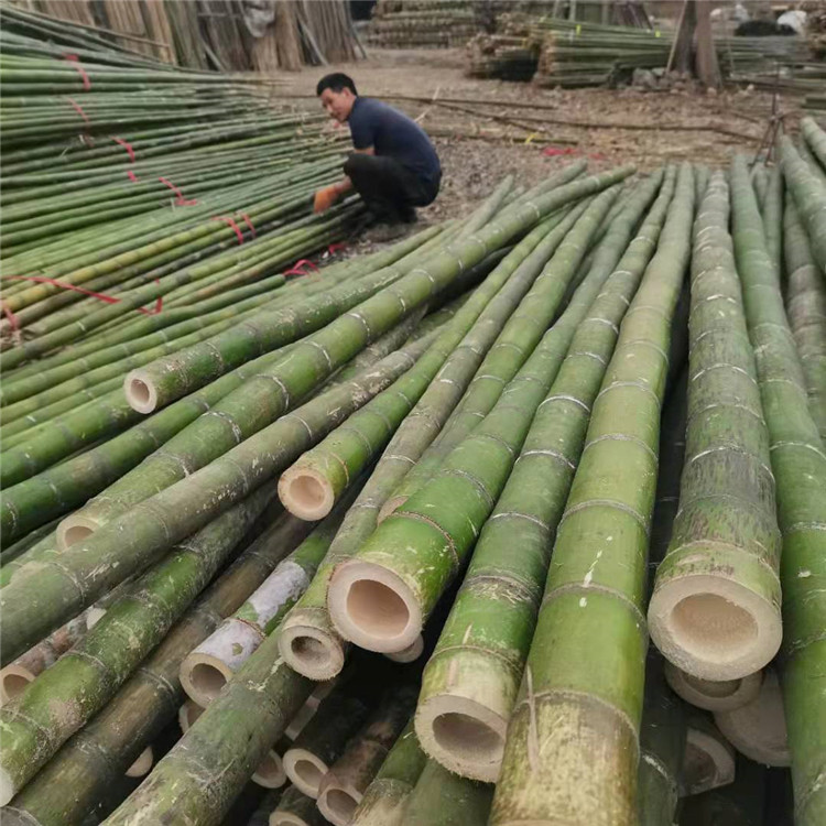 果树支撑杆批发 竹木扫柄定制 实心竹子支撑杆